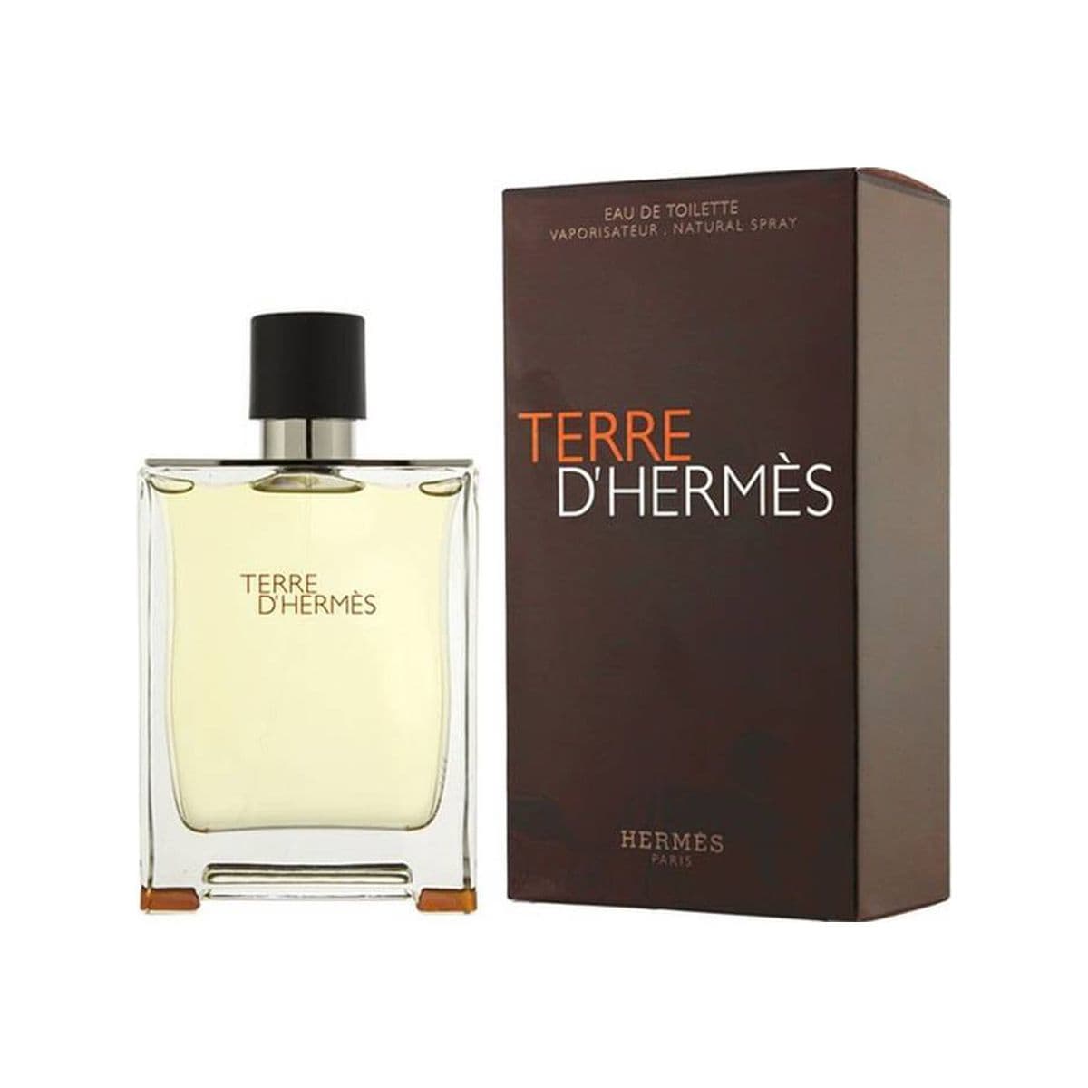 Terre D’Hermes For Men